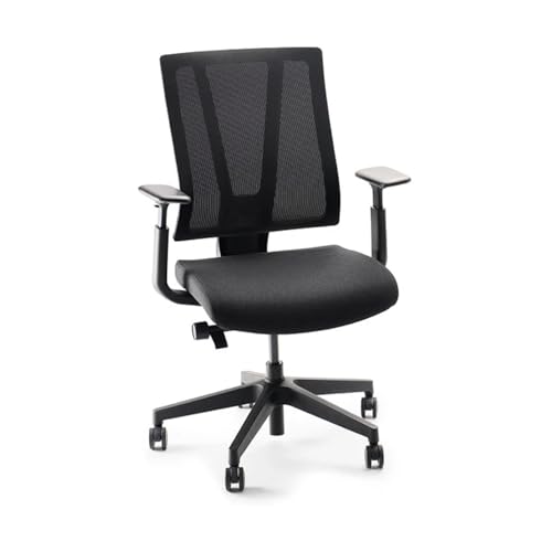 Clarksville Ergonomic Office Chair Adjust Lumbar Support Black | Mesh Back Office Chair, Synchro-Tilt Recline Home Office Desk Chairs with 3-Way Arms, 300 lb Capacity Computer Chair - color: Black