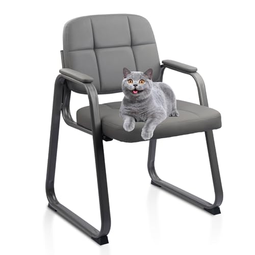 CLATINA Leather Stationary Office Reception Guest Chair, Waiting Room Chairs with Padded Arms and Sled Base for Reception Conference Elderly Side Office Desk Home Conference Room Lobby Table, Grey - color: Grey-sled Base, size: 1 Pack
