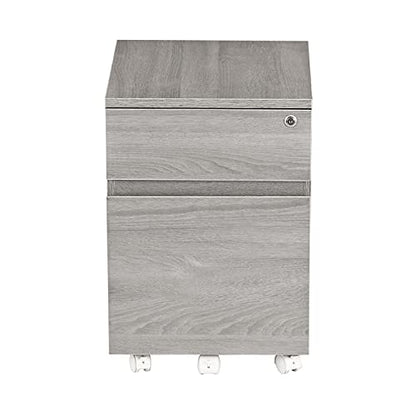 2‑Drawer Rolling File Cabinet with Lock, Under‑Desk Storage & Wheels, Grey