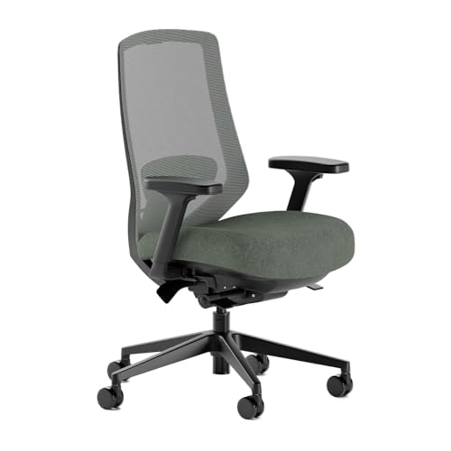 Branch Ergonomic Chair Pro, Mesh Office Chair with 14 Points of Adjustment | Height, Depth and Tilt Adjustable, 5D Armrests, Forward Tilt, Smooth Recline, and Lumbar Support, Everglade - color: Everglade (Green)