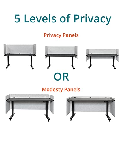 Stand Up Desk Store ReFocus Clamp-on Acoustic Desk Divider Privacy Panel that Reduces Noise and Visual Distractions (Ash Gray, 59" x 23.6") - color: Ash Gray, size: 60" X 24"