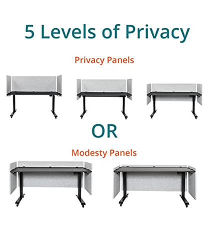 Stand Up Desk Store ReFocus Clamp-on Acoustic Desk Divider Privacy Panel that Reduces Noise and Visual Distractions (Ash Gray, 59" x 23.6") - color: Ash Gray, size: 60" X 24"