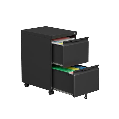 2 Drawer File Cabinet with Lock,Under Desk Storage Metal Filing Cabinet for Legal/Letter/A4 File,Mobile Rolling for Home Office -Black - color: Black, size: 2 Drawer-on wheels