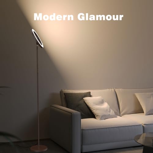 SIBRILLE 30W LED Floor Lamp for Living Room, 350° Rotating Reading Standing Lamp with Remote Control, Stepless Dimmable 3000K-6500K Modern Tall Lamp for Bedroom Office - color: Brown