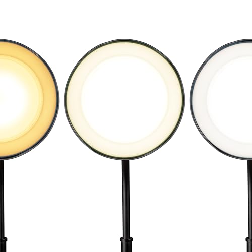 OttLite LED Table Lamp with Wireless Charging and USB, Black and Grey | ClearSun LEDs Reduce Eyestrain | 3 Color Temperature Modes | Movable Pivoting Shade | Extends 21"-25" Tall - color: Black