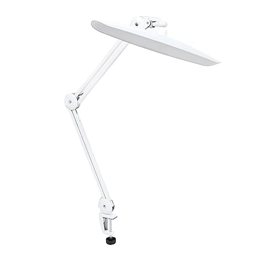Adjustable Brightness LED and Space Saving Clamp Light,LED Clip on Light, Stylish Table Lamp for Office and Bedroom Lighting (US)