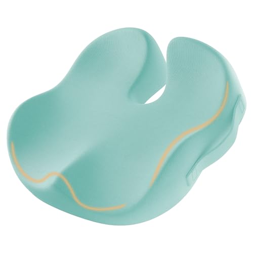 ProtoArc Seat Cushion, Office Chair Cushion for Sciatica, Mint Green | Coccyx Cushion, Ergonomic Memory Foam Seat Cushion for Car, Home, Pressure Relief Pad for Hip, Tailbone, All Day Comfort - color: Mint Green, size: Large