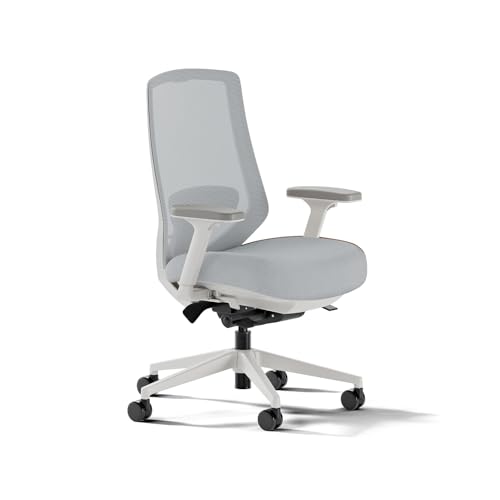 Branch Ergonomic Chair Pro, Mesh Office Chair with 14 Points of Adjustment | Height, Depth and Tilt Adjustable, 5D Armrests, Forward Tilt, Smooth Recline, and Lumbar Support, Mineral - color: Mineral