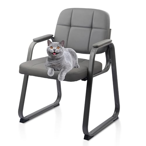 CLATINA Office Reception Guest Chair No Wheels, Leather Stationary Waiting Room Chairs with Padded Arms and Seld Base for Elderly Desk Conference Room Lobby Table Side Salon Grey - color: Grey-sled Base, size: 1 Pack