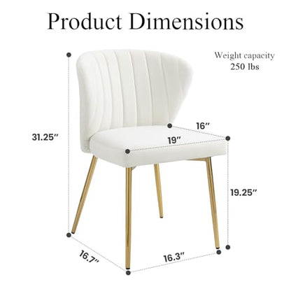 Velvet Dining Chairs Set of 2, Modern Upholstered Vanity Chairs with Golden Metal Legs for Dining Room Kitchen Vanity Patio (White) - color: White-1
