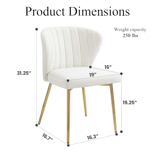 Velvet Dining Chairs Set of 2, Modern Upholstered Vanity Chairs with Golden Metal Legs for Dining Room Kitchen Vanity Patio (White) - color: White-1