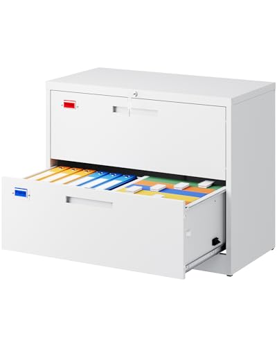 PEUKC 2 Drawer File Cabinet, Lateral Filing Cabinets for Home Office, Office Storage Drawers with Lock, Hanging Files Legal/Letter A4 Size (Assemble Required,White) - color: White, size: 29"H