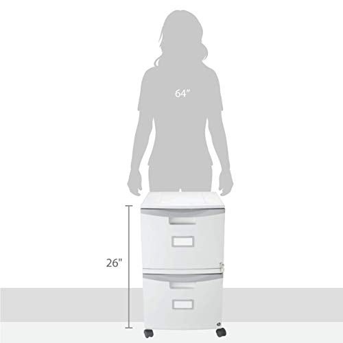Storex Two-Drawer Mobile File Cabinet with Lock, 14.8 x 18 x 26-Inch, Gray (61301B01C) - color: Grey, size: 26" x 31.8" x 14.1", style: 2-Drawer, With Casters
