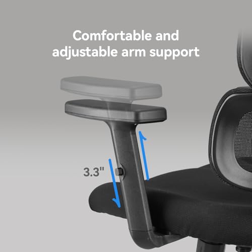 SIHOO M56 Ergonomic Office Chair, Dual Backrest, Adaptive Lumbar Support - color: Dark Black, size: Pack of 2