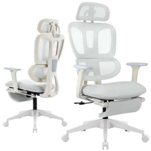 Ergonomic Office Chair with Retractable Footrest, Light Grey | High Back Design, Dynamic Lumbar Support, 2D Headrest & 2D Armrests, Breathable Mesh Back for Home Office - color: Light Gray