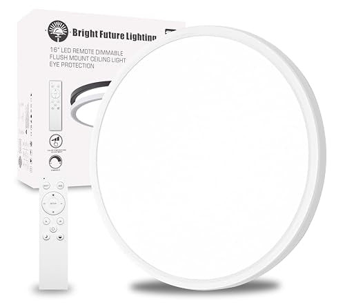 1Pack 20 Inch Remote Control Dimmable Large LED Flush Mount Ceiling Light Panel,40W 4350LM,2700K-6000K Adjustable Color,Ultra Thin Round White Ceiling Light Fixture for Hallway Kitchen Home Office - color: White, size: 20 Inch 1PK Dimmable Remote 5CCT