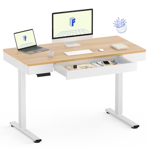 FLEXISPOT Standing Desk with Drawer, 48 x 24 Inch Electric Adjustable Height Stand Up Desk with Storage Organizer, Whole Piece Wooden Desktop for Home, Office, Computer Workstation, Maple - color: Maple, size: 48x24"