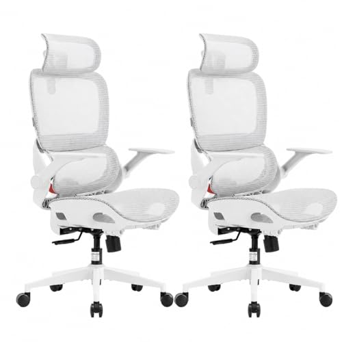 SIHOO B100 Office Chair, Comfy Ergonomic Office Chair, High Back Computer Chair with Adaptive Lumbar Support & wide Headrest, Flip-up Armrests, Swivel Desk Chair for Long Hours, WITHOUT Footrest, Grey - color: Light Grey, size: Pack of 2