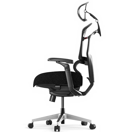 FLEXISPOT ErgoX-PRO Ergonomic Office Chair Black – Cloudtech Cushion, 5D Lumbar, 7D Armrests, 4D Headrest, 551LBS Capacity – Office, Gaming, Home - color: Cloudtech Black, size: Overall Depth 29"