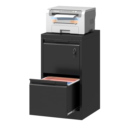 2 Drawer File Cabinet with Lock,Black Metal Filing Cabinets,Steel Vertical Fit Hanging Files, Letter,File Box and A4 Documents-Assembly Require - color: Black, size: Vertical 2 Drawer
