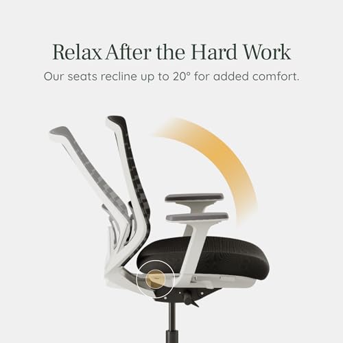 Branch Ergonomic Chair, Versatile Desk Chair with Adjustable Lumbar Support