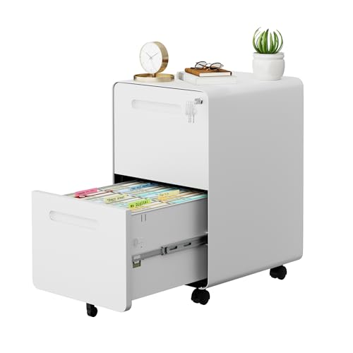 2 Drawer Mobile File Cabinet with Lock, 4 Keys and 25 Letter File Folders | Heavy-Duty Steel Rolling Filing Cabinet Pre-Assembled Under Desk for Home Office Letters/Legal/A4 Hanging File Folders - color: White, size: 25.8"H*15.7"W-2 drawers(25 letter fold