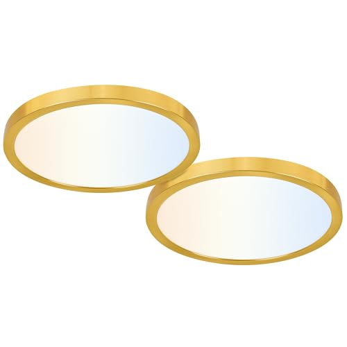 hykolity 12 Inch Selectable CCT LED Round Flat Panel Light,2 Pack | 24W 3000K/4000K/5000K, Edge-Lit Flush Mount Ceiling Light Fixture for Kitchen, Bedroom, Laundry and Closet Room,Gold - color: Gold, size: 12 inch