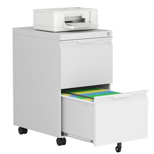 File Cabinet with Lock, 2 Drawer Mobile File Cabinet with Wheels, Metal Vertical File Cabinets for Home Office, Rolling Filing Cabinets Under Desk Storage for Letter/Legal/A4 Files - color: White, size: 17.3"D x 14.6"W x 26.5"H（2 Drawers-Mobile）