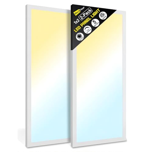 1x2 LED Flat Panel Light Surface Mount 2-Pack, Flush Mount Ceiling Light 24W 2880LM, 5CCT 3000K/3800K/4500K/5200K/6000K, Dimmable Panel Lights - color: White, size: 1Ft. x 2Ft. (2-PACK)