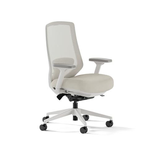 Branch Ergonomic Chair Pro, Mesh Office Chair with 14 Points of Adjustment | Height, Depth and Tilt Adjustable, 5D Armrests, Forward Tilt, Smooth Recline, and Lumbar Support, Shore - color: Shore