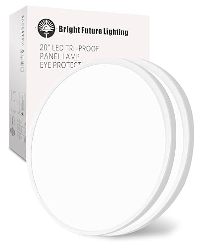 20 Inch Large LED Flush Mount Ceiling Light Fixture, Round 40w 4350lm 3000k,4000k,6000k CCT Selectable, Modern Flat Panel Super Slim Led Ceiling Light,for Living Dining Kitchen Room (2Pack-White) - color: White, size: Wall Switch Control-20Inch-2Pack