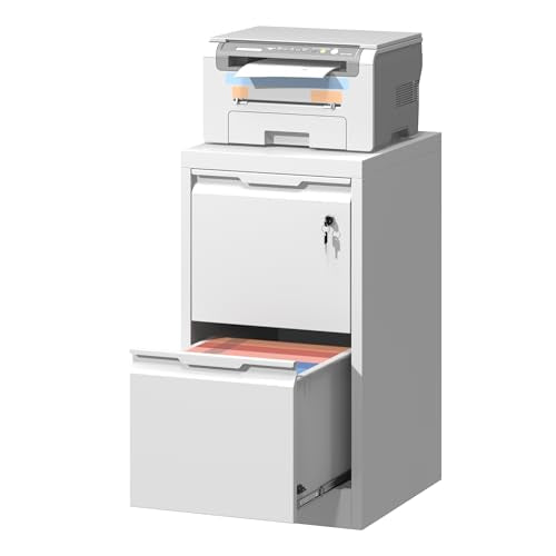 2 Drawer File Cabinet,Metal Vertical File Storage Cabinet with Lock, Printer Stand,Home Office Steel for A4 Letter/Legal Size, Assembly Required(White) - color: White, size: Vertical 2 Drawer