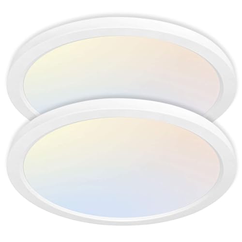 hykolity 12 Inch Selectable CCT LED Round Flat Panel Light,2 Pack | 24W 3000K/4000K/5000K, Edge-Lit Flush Mount Ceiling Light Fixture for Kitchen, Bedroom, Laundry and Closet Room,White - color: White, size: 12 inch