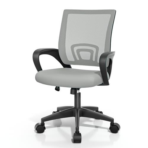 Magshion Ergonomic Office Chair, Mesh Computer Desk Chair, Light Gray | Mid-Back Swivel, Comfy Lumbar Support, Backrest, Height Adjustable, Fixed Armrests, for Home Work Gaming, 300 LBS Capacity - color: Light Gray, size: 1 Pack
