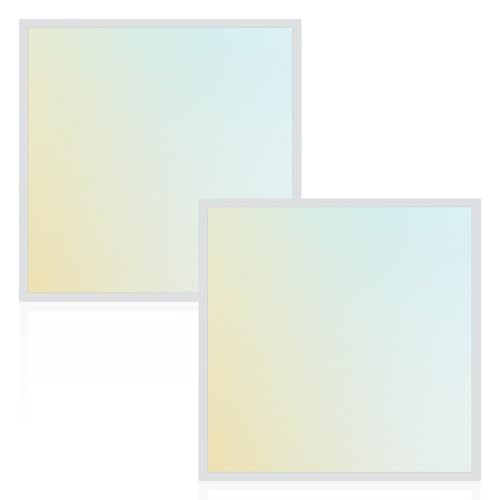 LUXRITE 2x2 FT LED Backlit Flat Panel Light, 5CCT 3000K-6500K (2 Pack) - size: 2 Count (Pack of 1)