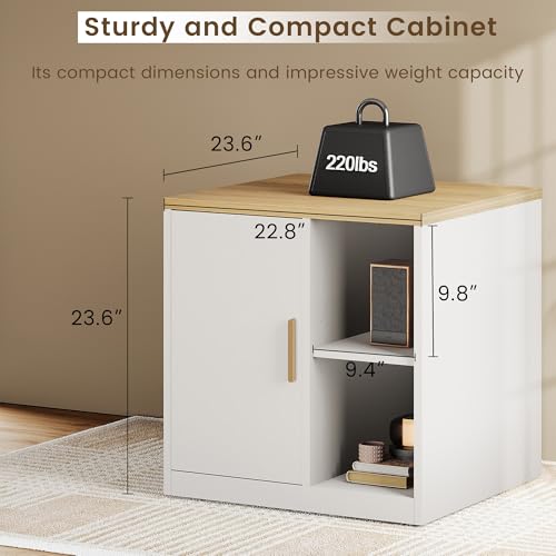 ModernMate Printer Stand with Door, Open Adjustable Shelves | 23" Printer Table, File Cabinet, Under Desk Storage Cabinet for Office, Living Room, and Study, Light Walnut - color: Light Walnut