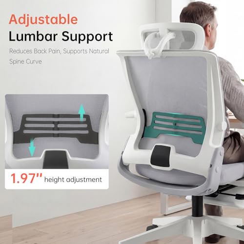 Ergonomic Foldable Office Chair with Footrest and Lumbar Support, Grey - color: Grey