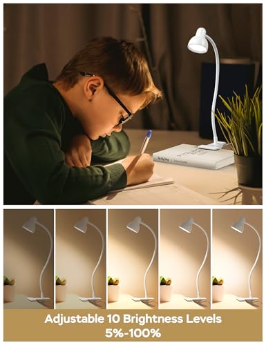 LiFMIRA Clip on Lamp USB Reading Light, Desk Lamp with Clamp White | 3 Color Modes, 10 Dimmable Brightness Eye Care Clamp Lamp with Flexible Gooseneck for Reading in Bed Desk Headboard Computer - color: White