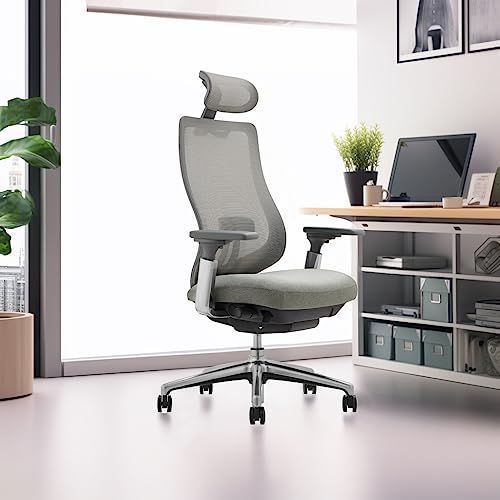 COLAMY Ergonomic Mesh Office Chair, High Back Executive Desk Chair with Adjustable Headrest, 4D Arm, Slide Seat, Tilt Lock, Lumbar Support, Light Grey