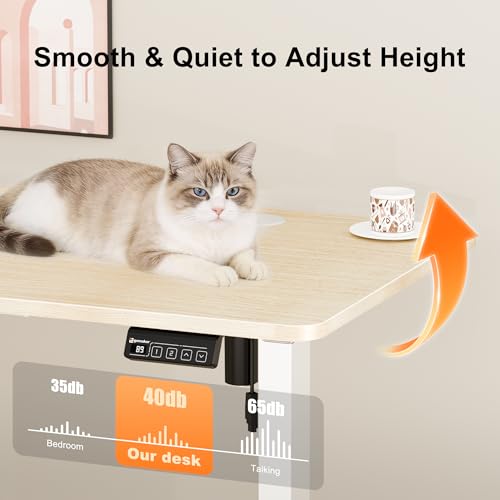 67"x24" Standing Desk, Height Adjustable Sit-Stand Office, Oak | Electric Adjustable Standing Desk, Sit to Stand Computer Office Desk with Splice Board, Memory Preset, Lifts 28.7''-46.5" - color: White Frame-gold Oak, size: 67-inch