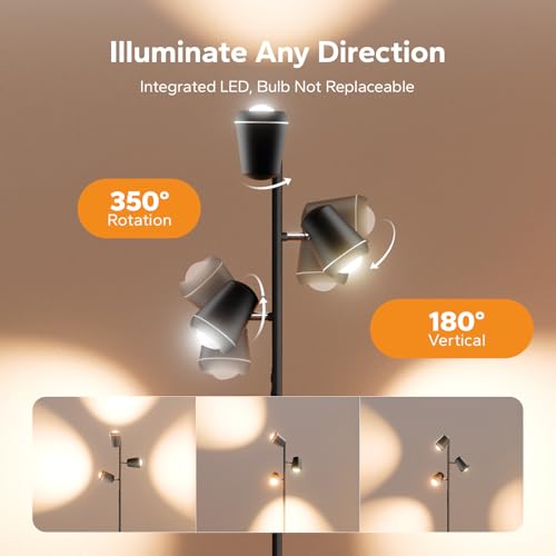 SIBRILLE 36W LED Tree Floor Lamp with Remote for Living Room Bedroom - color: Deep Black