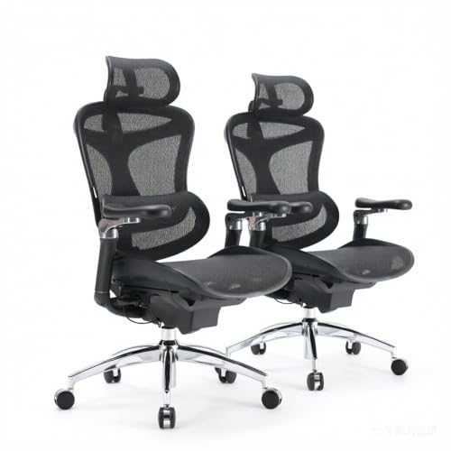 SIHOO Doro C300 Pro Ergonomic Office Chair with Ultra-Soft 6D Armrests | Dynamic Lumbar Support, Seat Depth Adjustment, Adjustable Backrest, Big & Tall Desk Chair for Home Office, 2Pcs Black - color: Ebony, size: Pack of 2