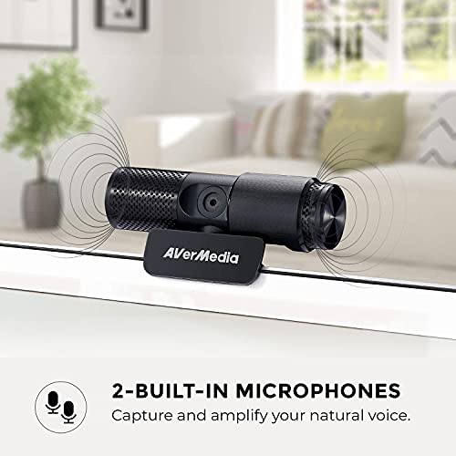 AVerMedia Live Streamer Cam 313 - Full HD 1080P Webcam with Privacy Shutter, Dual Microphone, 360 Degree Swivel for Video Conference - NDAA Compliant (PW313) - style: 1080p30 Fixed Focus