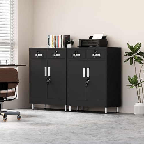 Metal Storage Cabinet with Locking Doors and 2 Drawers, Lockable Storage Cabinet with Adjustable Shelf for Home Office Garage Entryway Pantry (Black)