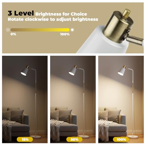 LALISU Floor Lamp Industrial Floor Lamps Reading Farmhouse Standing Lamp - color: White