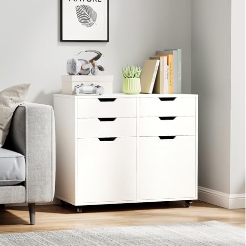 White File Cabinet with 4 Drawers and 2 Doors