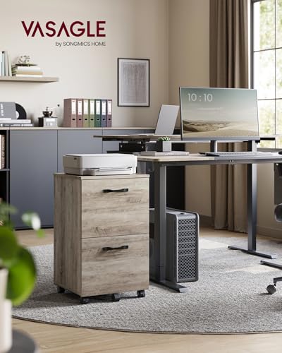 VASAGLE 2-Drawer File Cabinet, Small Rolling Filing Cabinet - color: Heather Greige, style: Classic