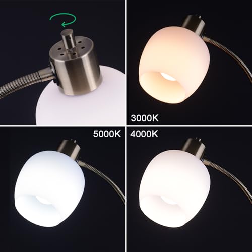 Adjustable Reading Floor Lamp,360°Rotatable Shade,3CCT LED Bulb Include,White Gooseneck - color: White Glass Shade