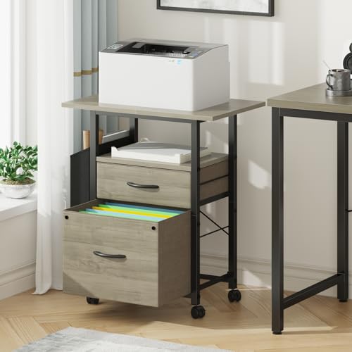 GYIIYUO 2 Drawer File Cabinet 24''W, Mobile Filing Cabinet, Printer Stand - color: Oak Grey