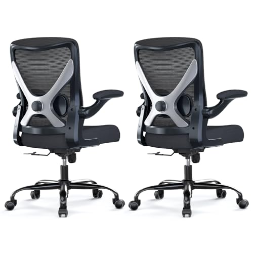 Ergalithic Office Chair: Mesh Ergonomic Desk Chair with 3D Lumbar & Swivel - color: Black, size: Pack of 2